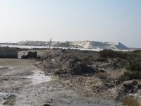 Saline-de-Giraud