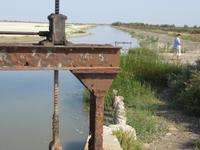 Camargue