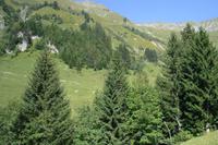 Fahrtimpressionen mit der Brienzer Rothornbahn