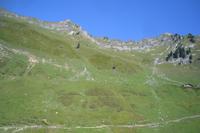 Fahrtimpressionen mit der Brienzer Rothornbahn