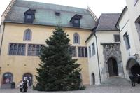 IMG_3908_Am Rathaus Regensburg