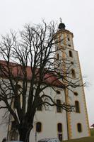 IMG_3928_Neujahrsspaziergang zu Maria BrÜnnlein