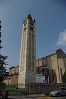 Verona_San_Zeno (2)