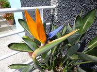 Levadawanderung - Marocos