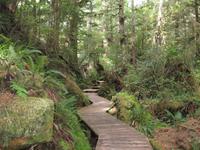 Maquinna Provicial Park