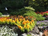Butcharts Gardens