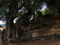 Steinbruch in Filitosa