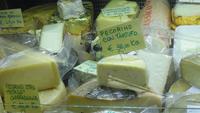 Käsetheke n Lucca_Pecorino mit Trüffeln 