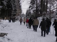 Spaziergang rund um die Naggler Alm