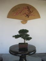 Chinesisches Stilleben