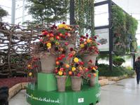 Blumen Arrangement