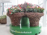 Lustige Blumenkörbe