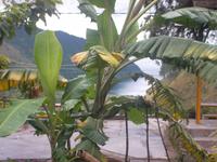 Letzter Blick zum Tobasee