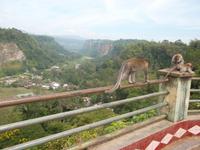 Unser Canyon! 