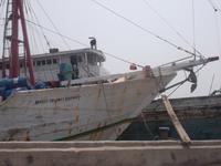 Die Küstenklipper sehen aus wie vor 100 Jahren 