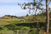 Golf auf Jersey