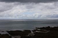 Inselwetter Jersey