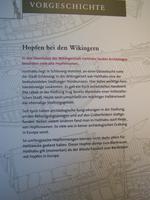 Im Hopfenmuseum