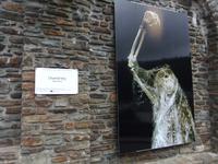 Clervaux. Fotoausstellung