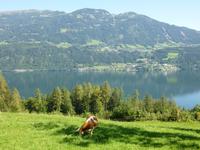 Blick auf den Millstätter See