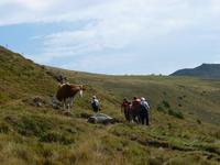 Wanderung auf dem Millstätter Höhensteig
