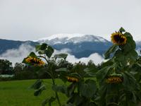 Blick auf die Reiseckgruppe