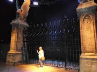 Fehlen nur noch die Auroren zum Schutz