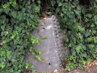 überall sind Reste der römischen Baukunst versteckt