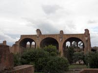 Die Maxentius-Basilika