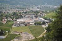 Brauerei Forst in Meran