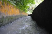 Waal oberhalb Merans