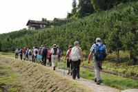 Auf dem Meraner Waalweg