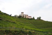 oberhalb Merans