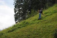 auf dem Ultener Höfeweg