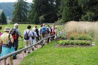 an der Leadner Alm