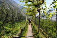 Auf dem Tappeinerweg 