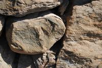 Auf dem Tappeinerweg 