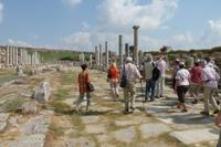 Perge