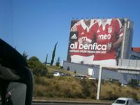 am Stadion von Benfica Lissabon