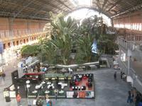 im Bahnhof Atocha