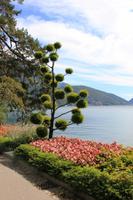 im Stadtpark (Lugano)