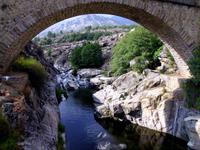 DSCI1240längster Fluß Korsikas,der Golo 