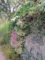 Zurecht: Blumeninsel