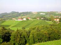 Weinberge der Steiermark