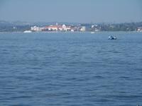 Am Bodensee
