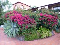 Hotelanlage Quinta Splendita