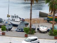 getrockneter Katzenhai