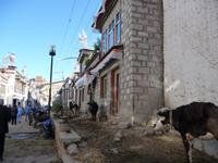 alte Stadt Gyantse