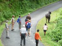 Wanderung am Begnas Lake