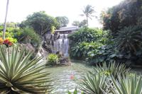 Le jardin botanique de Deshaies